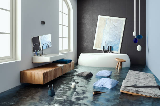 Best Mold removal after water damage  in Delhi, CA