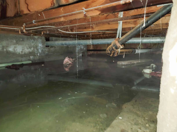 Best Ceiling water damage repair  in Delhi, CA