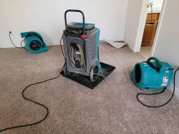 Best Ceiling water damage repair  in Delhi, CA