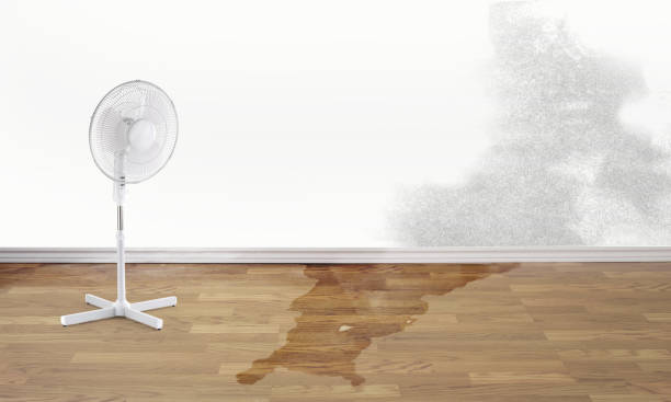 Best 24/7 water damage repair  in Delhi, CA
