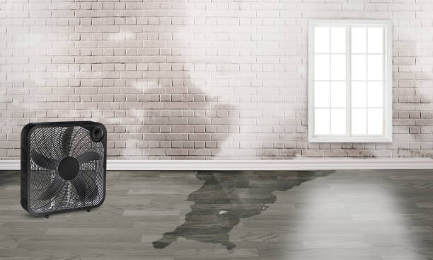 Best Water damage contractors near me  in Delhi, CA