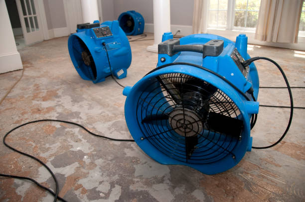 24/7 water damage repair in CA