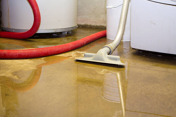 Best Basement water damage restoration  in Delhi, CA