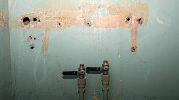 Best Water damage restoration near me  in Delhi, CA