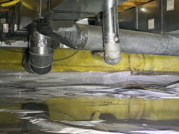 Best Local water damage restoration  in Delhi, CA