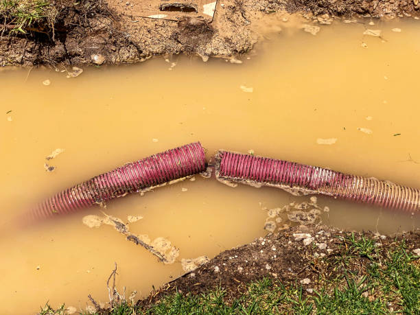 Best Carpet water damage restoration  in Delhi, CA