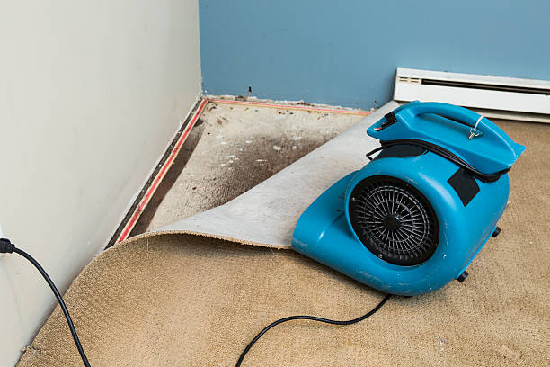 Best Fire Damage Restoration  in Delhi, CA